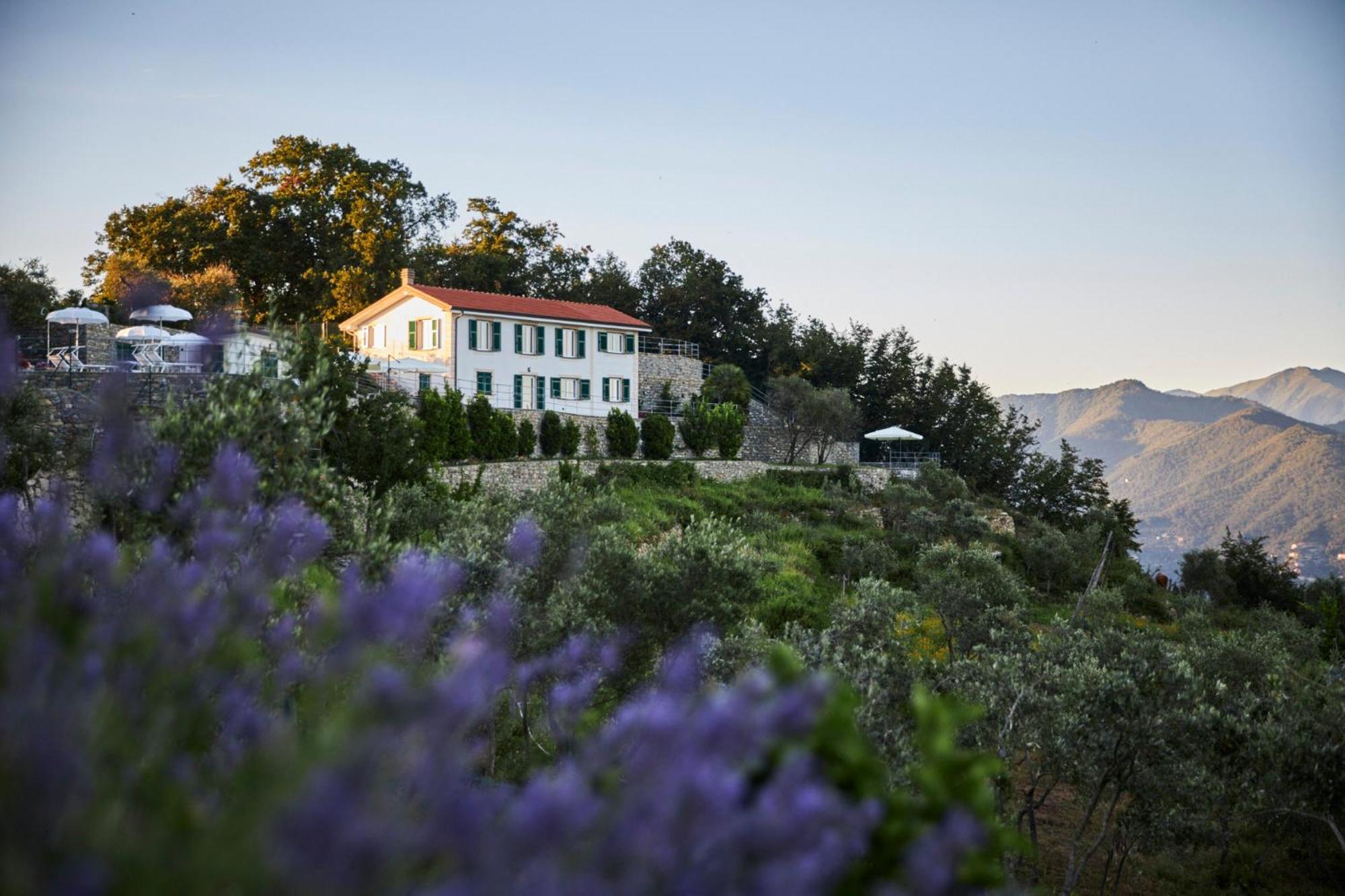 Il Leccio - Luxury Resort Portofino Monte Santa Margherita Ligure Exterior photo
